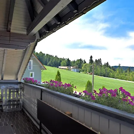 Beautiful In The Bavarian Forest With Balcony And Whirlpool Tub *
