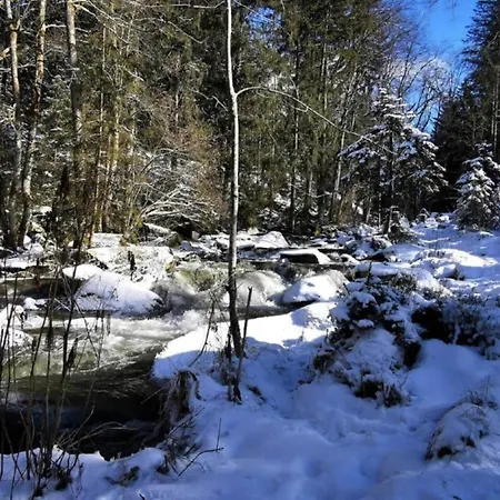 Beautiful In The Bavarian Forest With Balcony And Whirlpool Tub